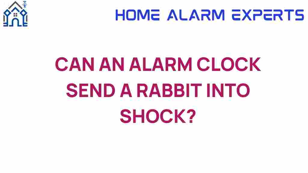 can-an-alarm-clock-send-a-rabbit-into-shock