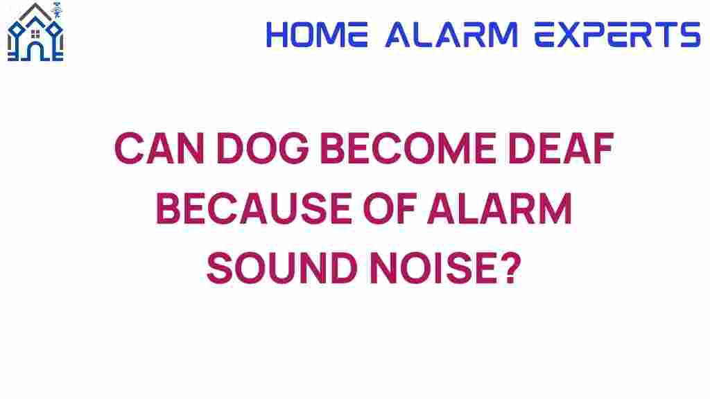 can-dogs-become-deaf-from-alarm-sounds