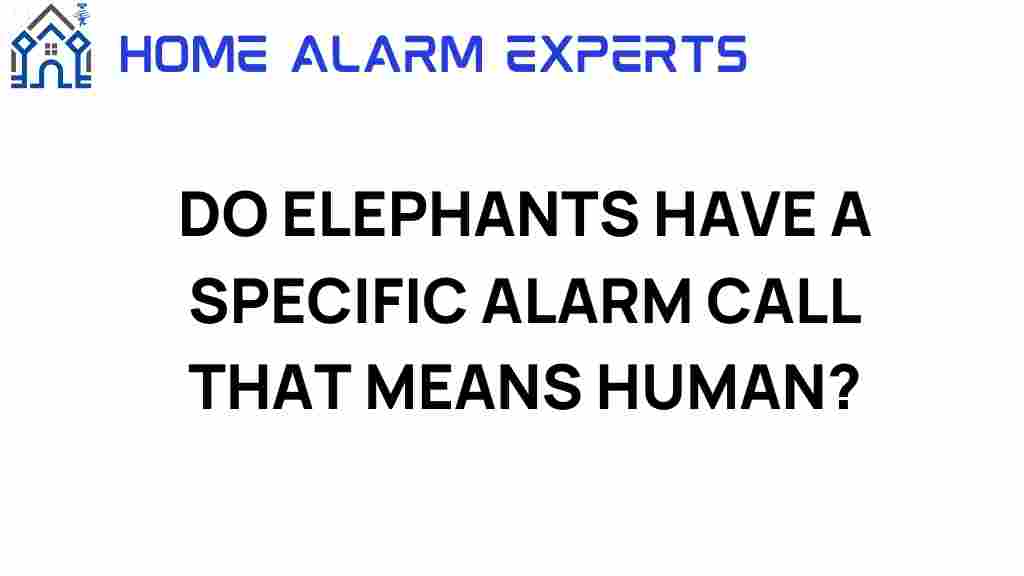 do-elephants-have-alarm-call-for-humans