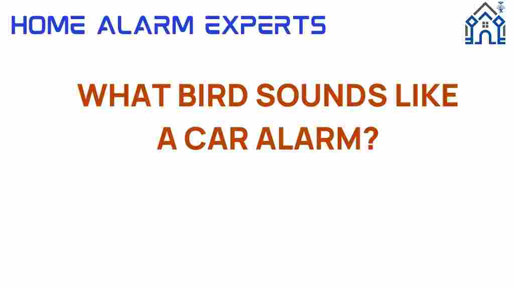 bird-sounds-like-car-alarm