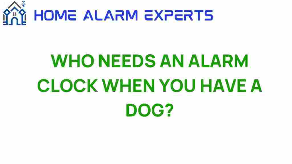 who-needs-an-alarm-clock-when-you-have-a-dog
