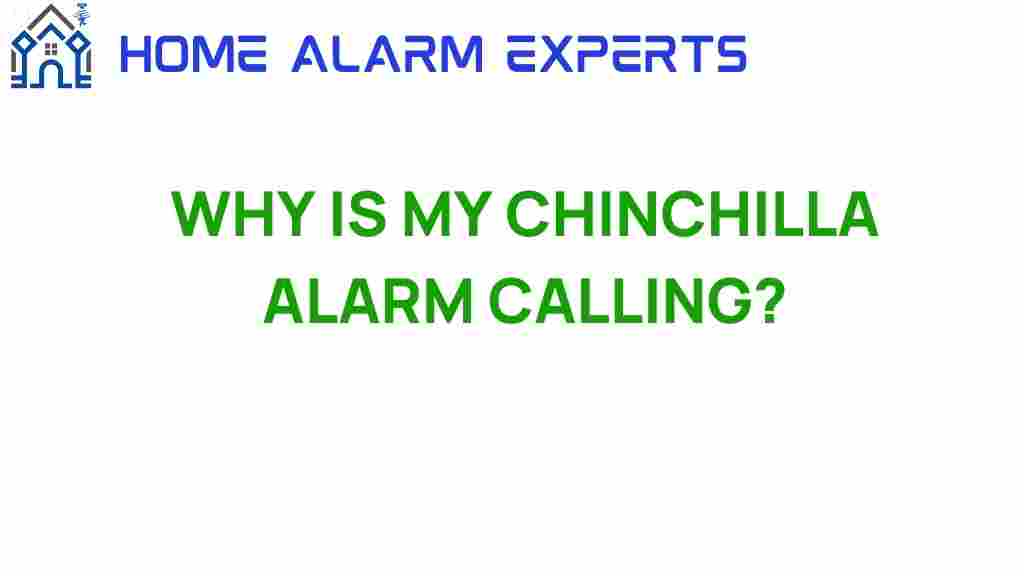why-is-my-chinchilla-alarm-calling